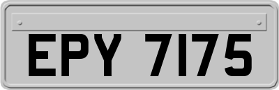 EPY7175