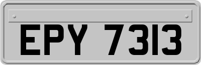 EPY7313