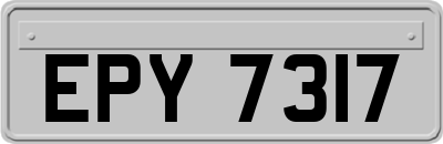 EPY7317