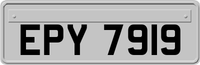EPY7919