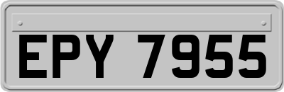 EPY7955