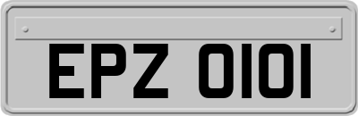 EPZ0101