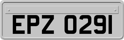 EPZ0291