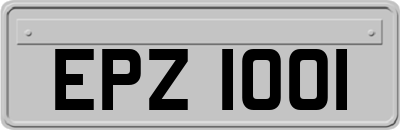 EPZ1001