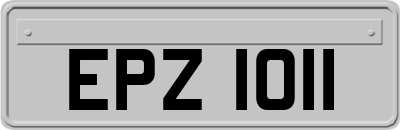 EPZ1011