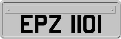 EPZ1101