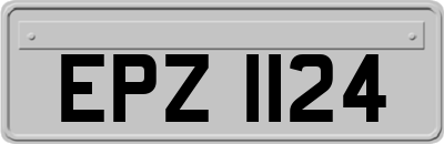 EPZ1124