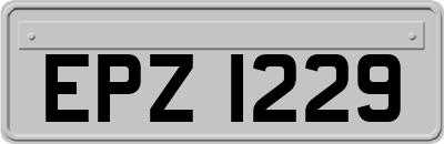 EPZ1229