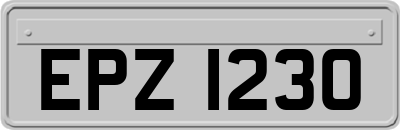 EPZ1230