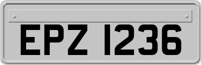 EPZ1236