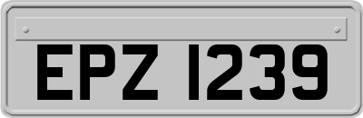 EPZ1239