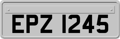 EPZ1245