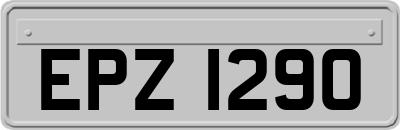 EPZ1290