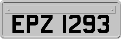 EPZ1293