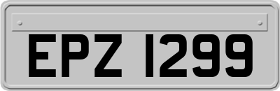 EPZ1299