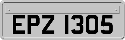 EPZ1305
