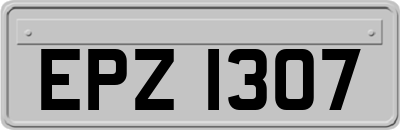 EPZ1307