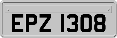 EPZ1308