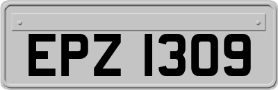 EPZ1309