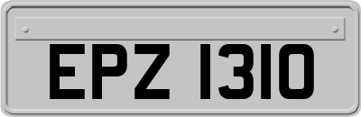 EPZ1310