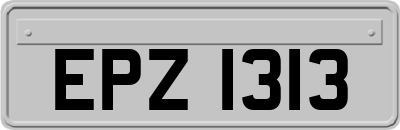 EPZ1313