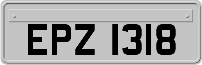 EPZ1318