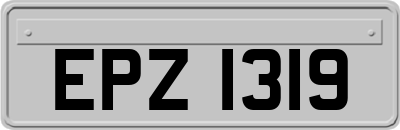 EPZ1319