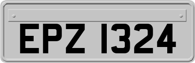 EPZ1324
