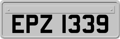 EPZ1339