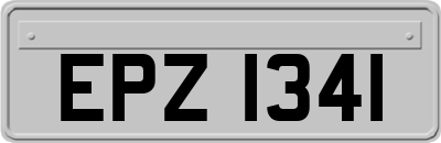EPZ1341