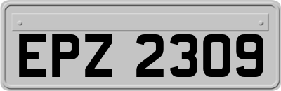 EPZ2309