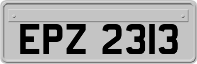 EPZ2313