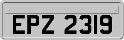 EPZ2319
