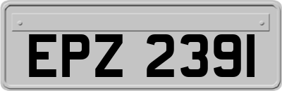 EPZ2391