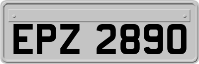 EPZ2890