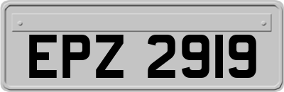EPZ2919