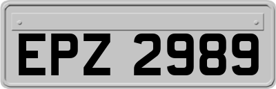EPZ2989