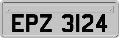 EPZ3124
