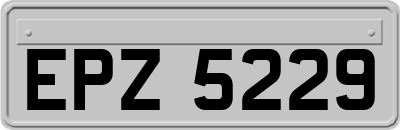 EPZ5229