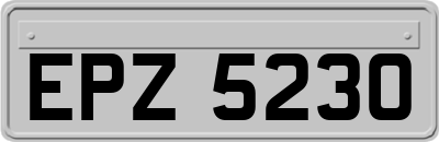 EPZ5230