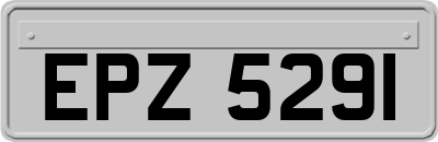 EPZ5291