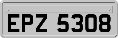 EPZ5308