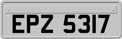 EPZ5317