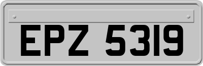EPZ5319