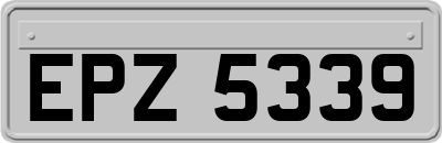 EPZ5339