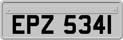 EPZ5341