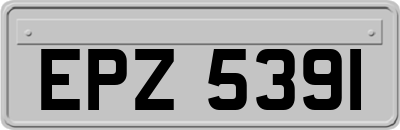 EPZ5391