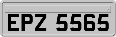 EPZ5565