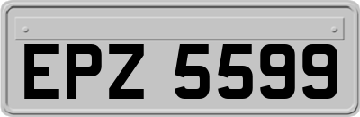 EPZ5599