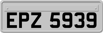 EPZ5939